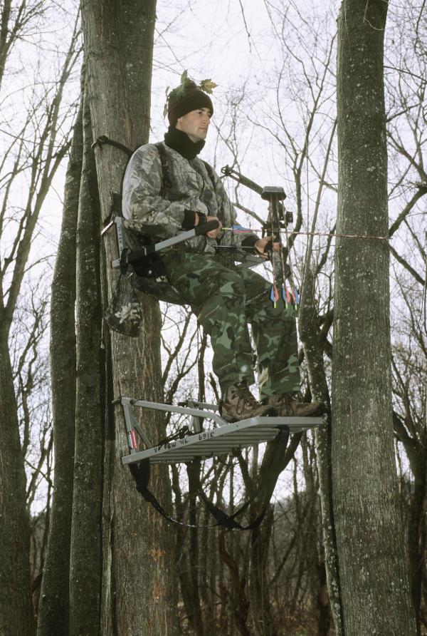 bow hunter in tree stand