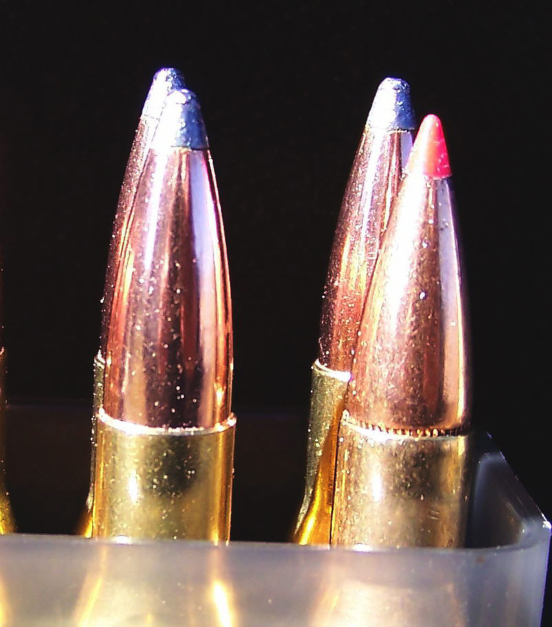 Nosler Partition bullets versus Hornady SST bullets