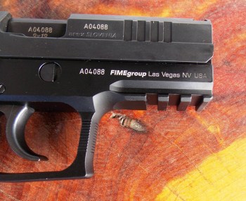 Picatinny rail on the Rex Zero CP pistol