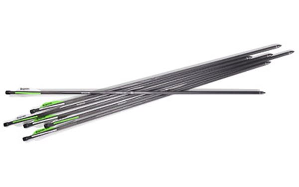 BENJAMIN PIONEER AIRBOW ARROWS 6