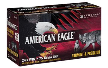 FED AM EAGLE V&P 243WIN 75GR 40/200