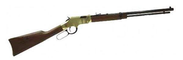 HENRY GOLDEN BOY LEVER 17HMR 20"