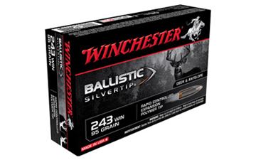 WIN BALLISTIC TIP 243WIN 95GR 20/200