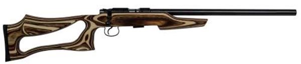 CZ 455 Varmint Evolution, .17 HMR Coyote Laminate Rifle - 02245