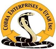 Picture for manufacturer Cobra Enterprises