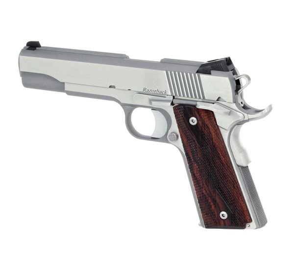 Dan Wesson Razorback RZ-10 Pistol - 01907