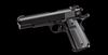 TAC Standard FS 45ACP