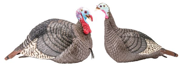 HS 100005 STRUT-LITE JAKE/HEN COMBO