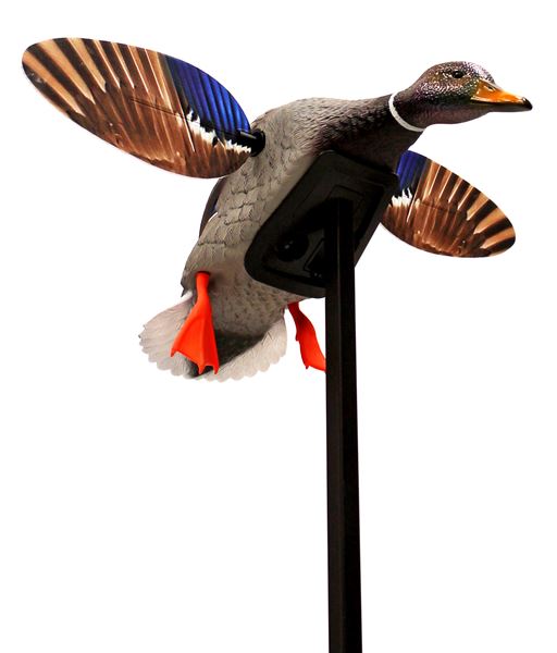 MOJO HW2470 MINI MALLARD DRAKE