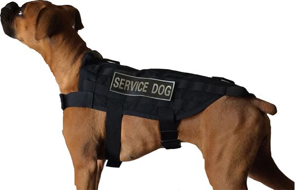 DDT Sgt Stubby USA Made Dog Vest