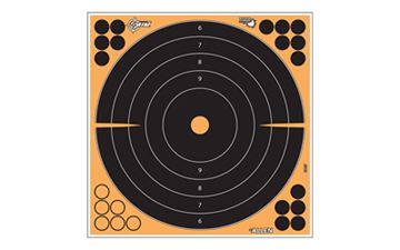 ALLEN EZ AIM 12" BULLSEYE 5PK