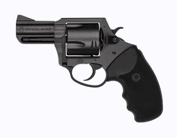 Charter Arms Pitbull® .45 ACP 5rd 2.5" Barrel Blacknitride Revolver