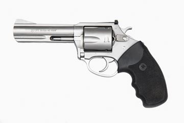 Charter Arms Pitbull® .40 S&W 5rd 4.2" Barrel Stainless Steel Revolver