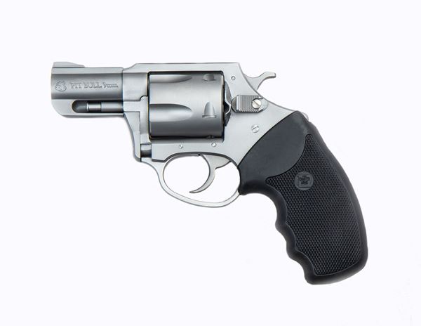 Charter Arms Pitbull® 9mm 5rd 2.2" Barrel Stainless Steel Revolver