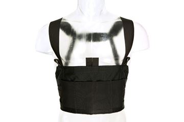 Picture of Blue Force Gear- Ten-Speed®  M4 Chest Rig