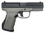 FMK 9mm 4" Barrel, Fast Action Trigger Drop Free 14 rd mags, Titanium Grey