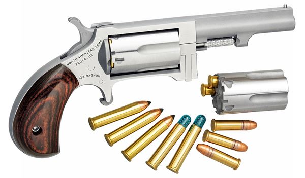 NAA-Sidewinder, 22 Magnum Swing Out, 2.5" Barrel, 5rd