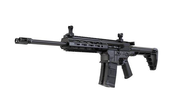 Gilboa DBR Snake .223 Rem Black Semi-Auto Rifle 30rd 16 inch