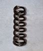 Picture of Arsenal Detent Plunger Pin and Spring Set for AK74 Type FSB / AK244B / AK245 / AK256B